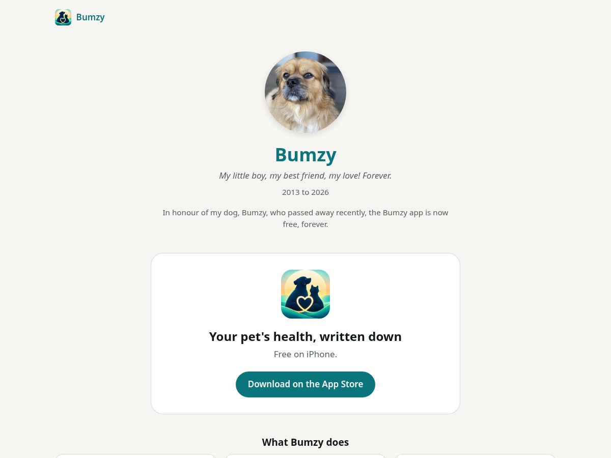 Landing-page snapshot of bumzy.app