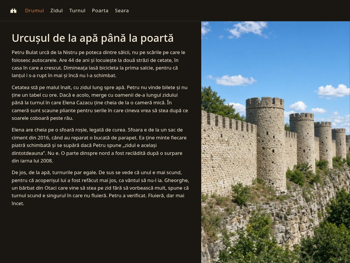 Landing-page snapshot of cetatesoroca.org