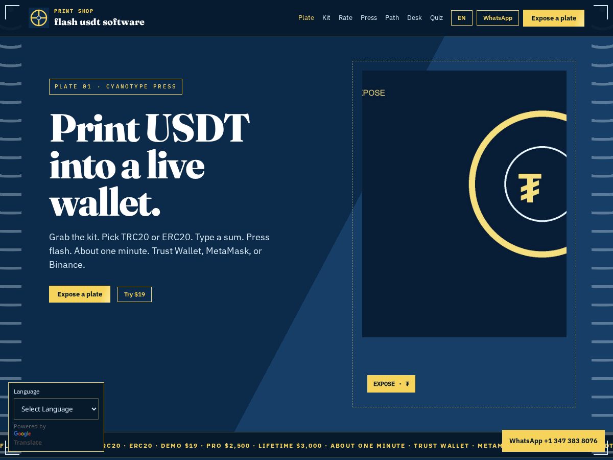 Landing-page snapshot of flashusdtsoftware.xyz