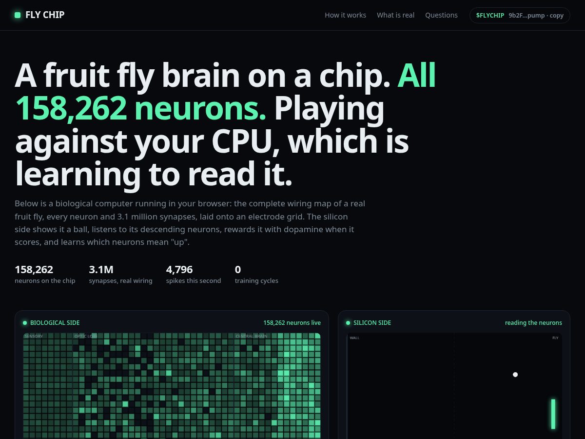 Landing-page snapshot of flychip.fun