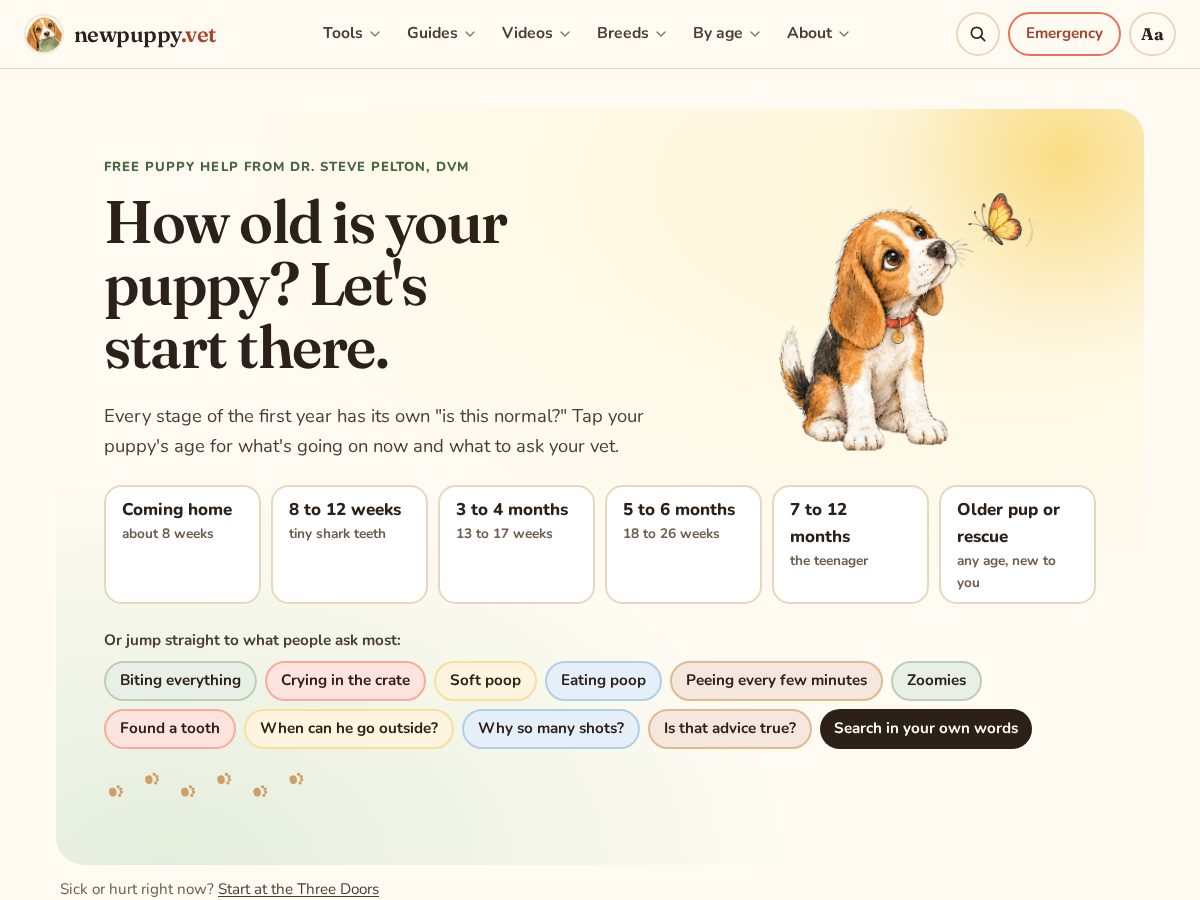 Landing-page snapshot of newpuppy.vet