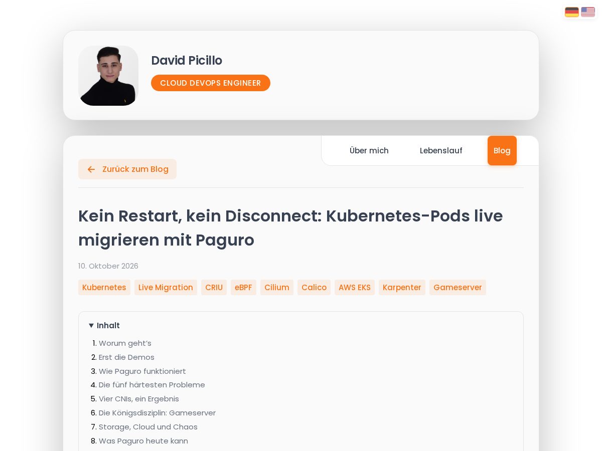 Landing-page snapshot of paguro.dev