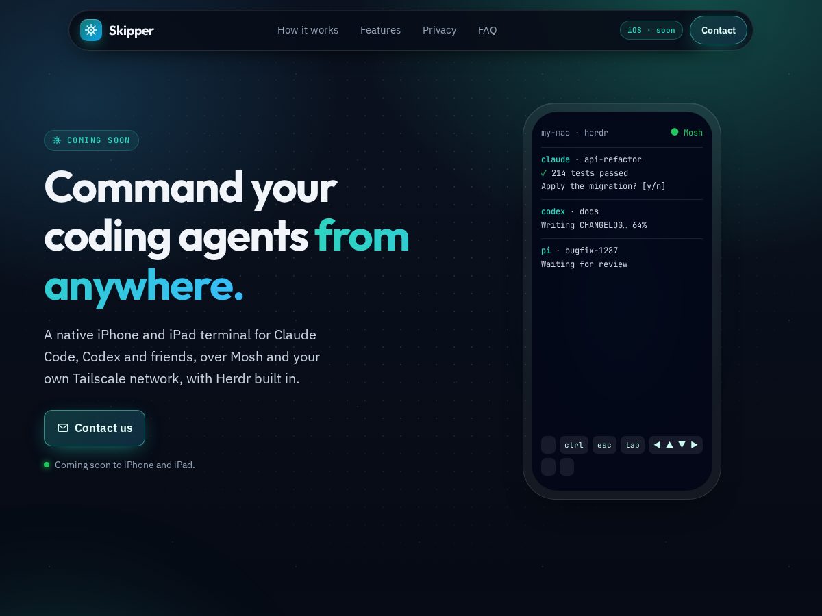 Landing-page snapshot of theskipper.dev