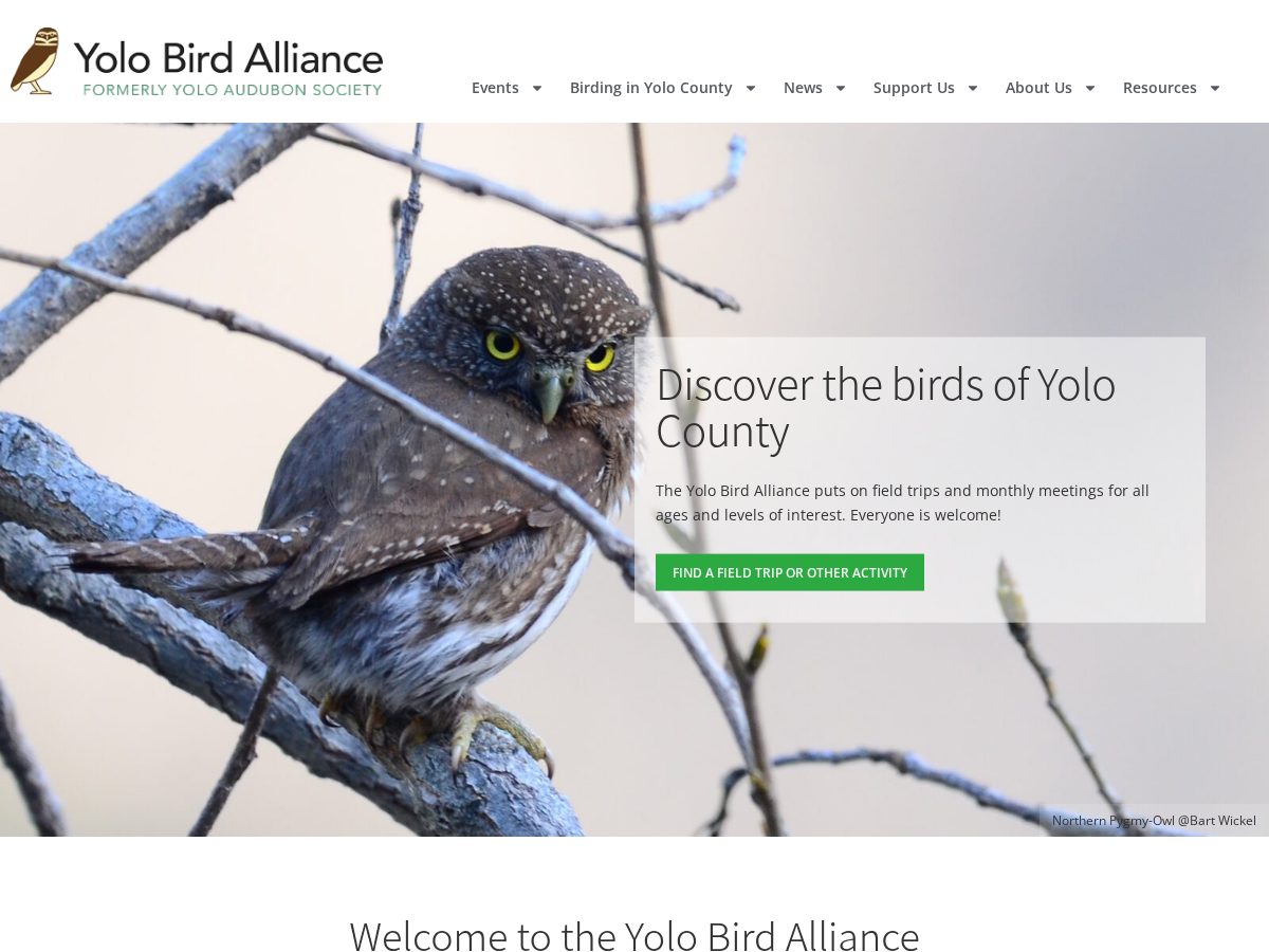 Landing-page snapshot of yoloaudubon.org
