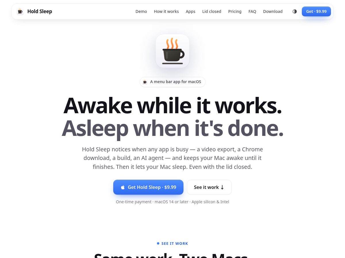 Landing-page snapshot of holdsleep.com