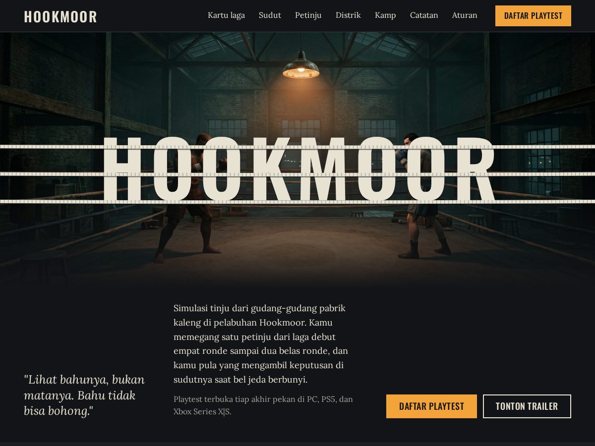 Landing-page snapshot of hookmoor.online