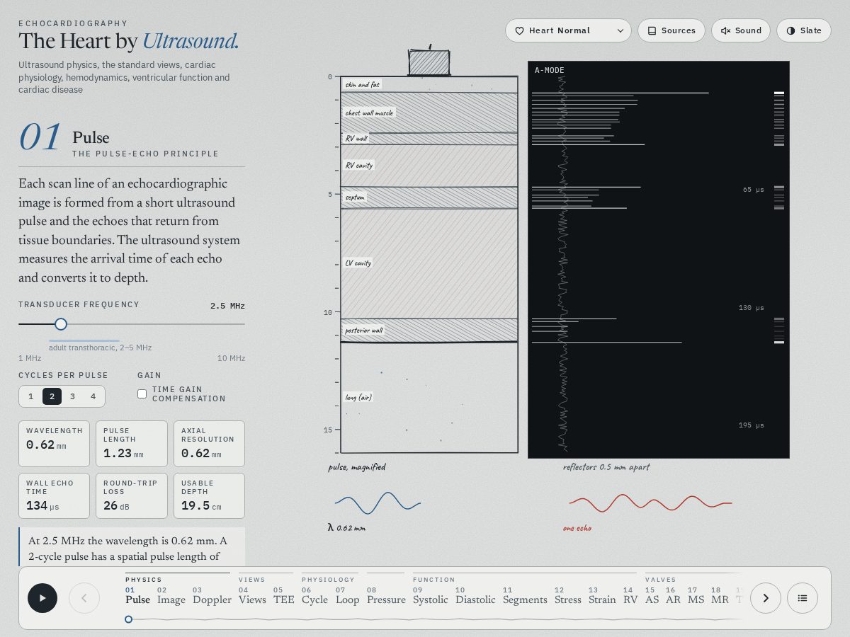 Landing-page snapshot of intro2echo.com