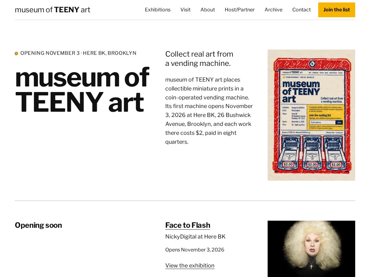 Landing-page snapshot of museumofteenyart.com