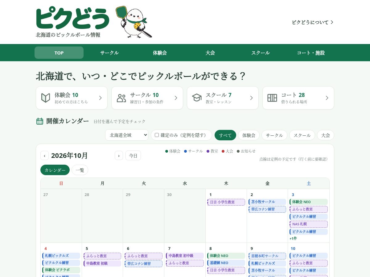 Landing-page snapshot of pikudou.com