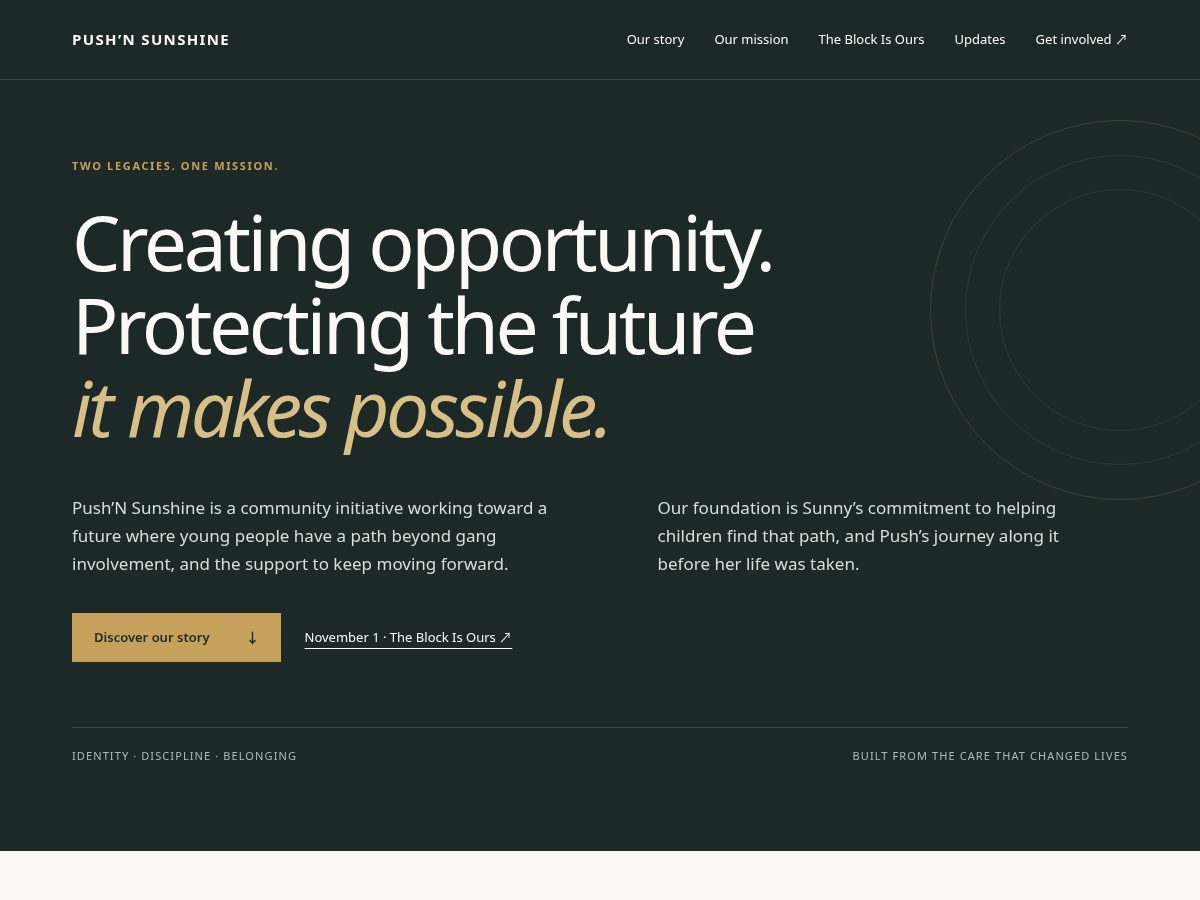 Landing-page snapshot of pushnsunshine.org
