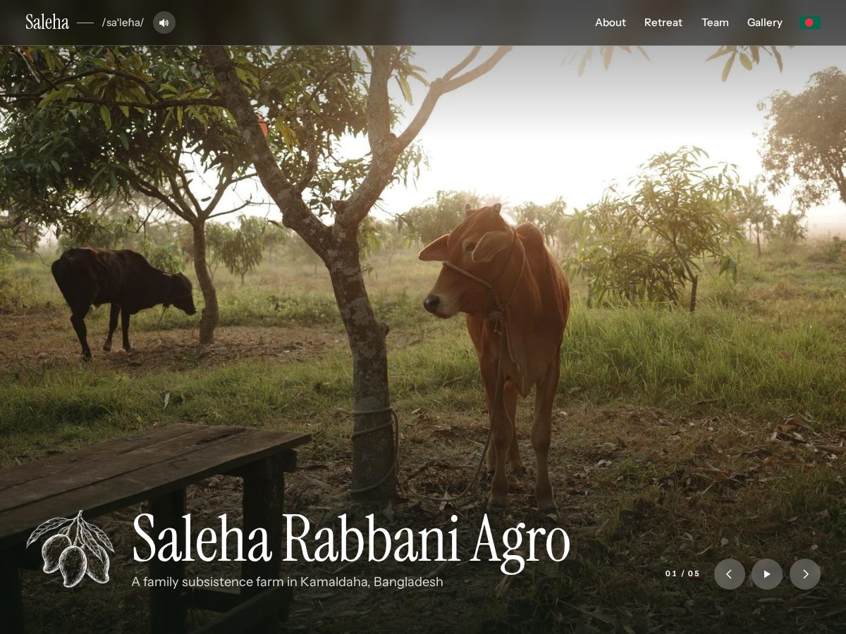 Landing-page snapshot of salehas.com