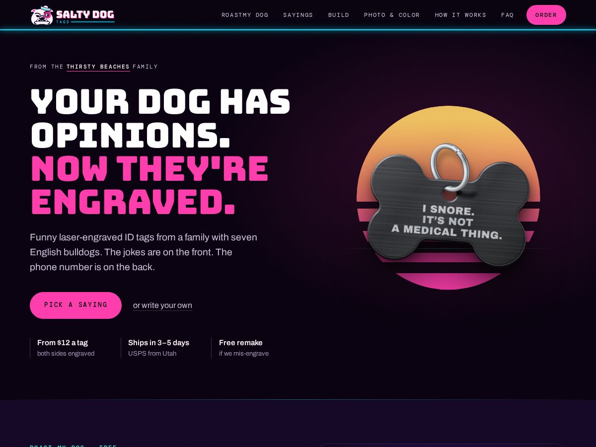Landing-page snapshot of saltydogtags.com