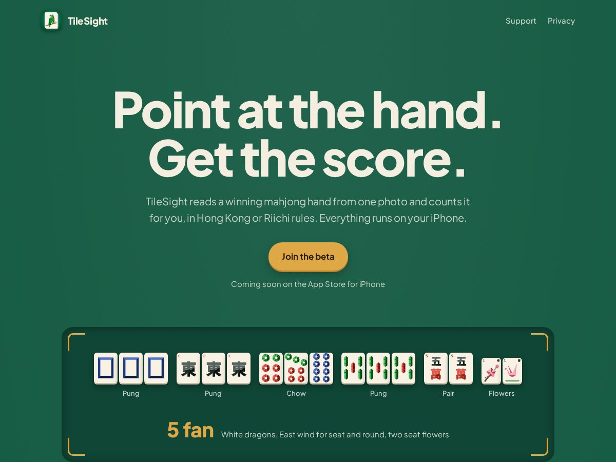 Landing-page snapshot of tilesight.com