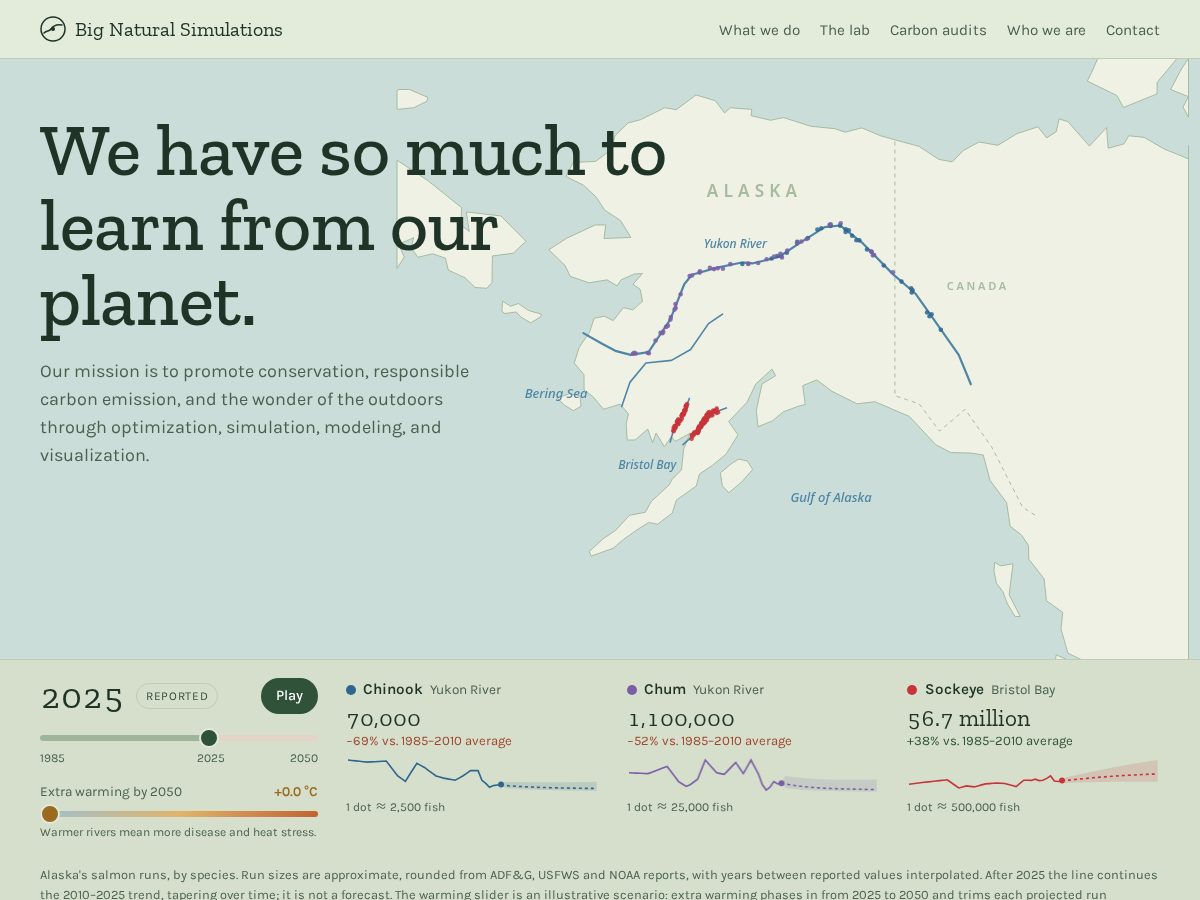 Landing-page snapshot of bignaturalsimulations.com