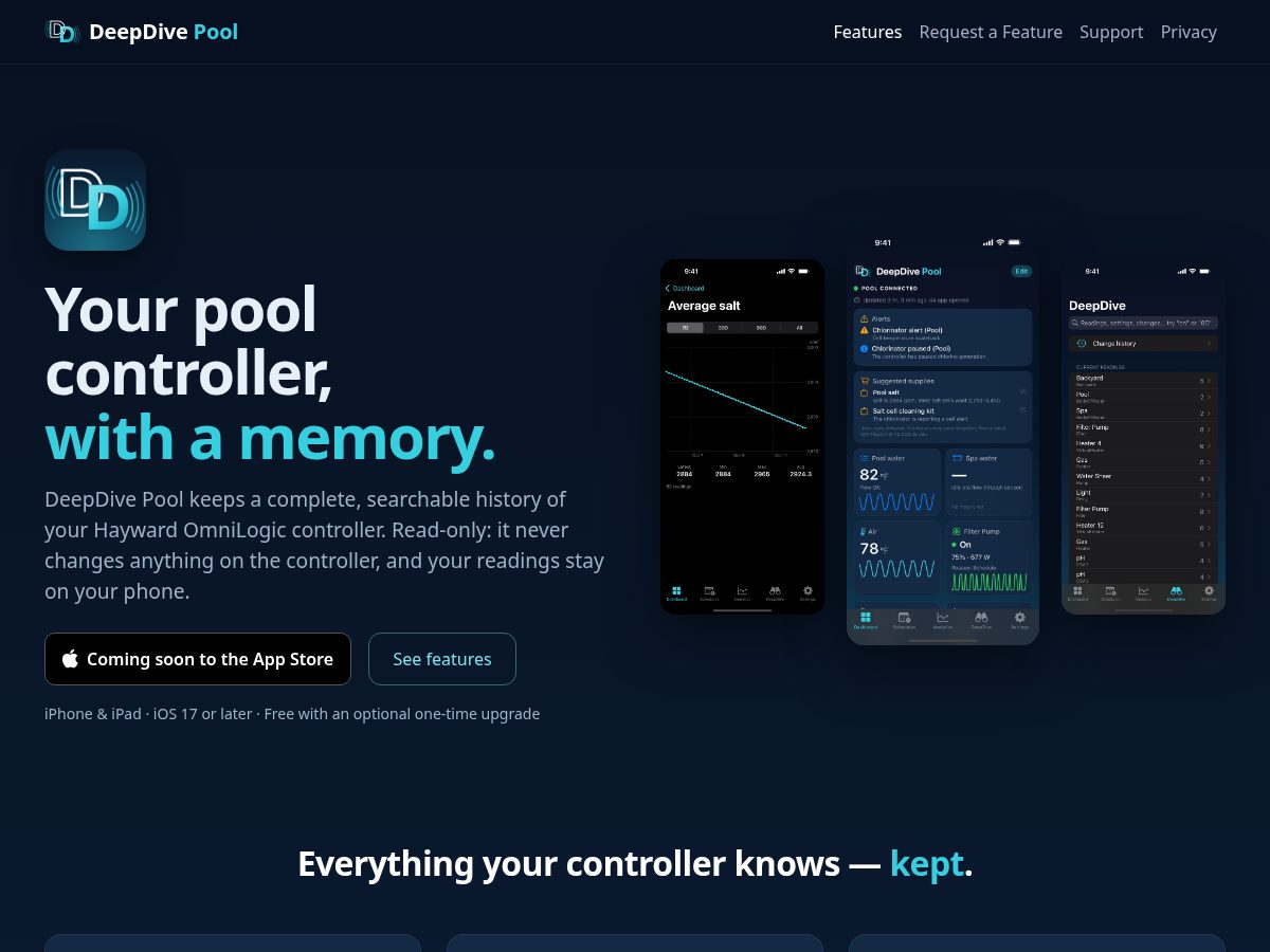 Landing-page snapshot of deepdivepool.com