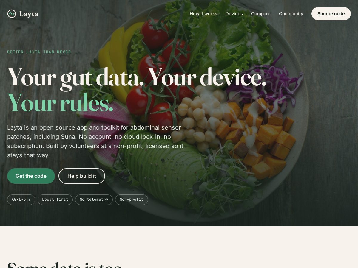 Landing-page snapshot of layta.xyz