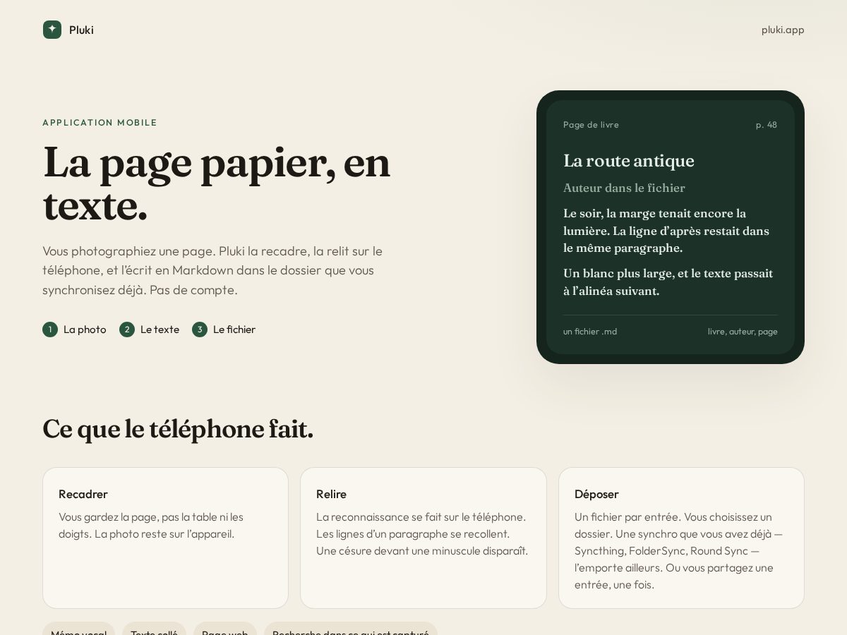 Landing-page snapshot of pluki.app