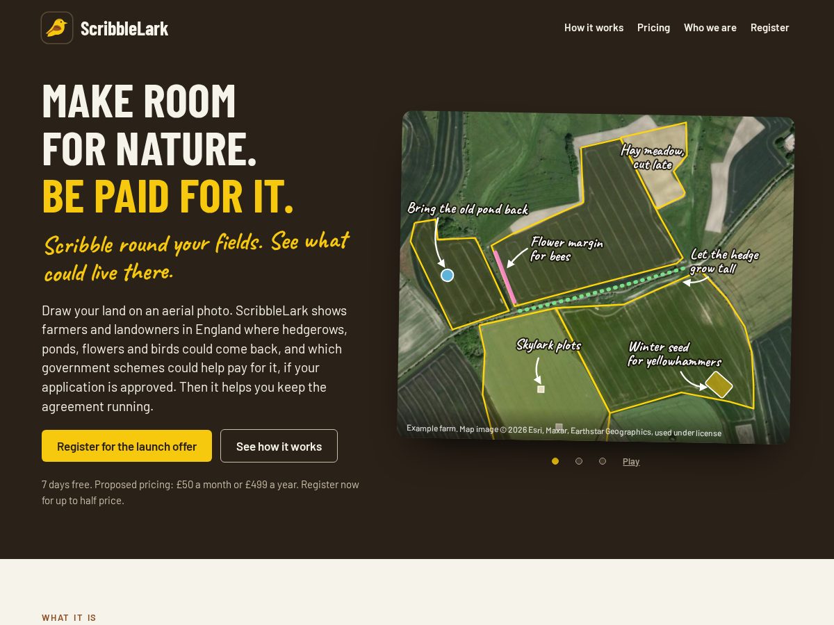 Landing-page snapshot of scribblelark.com