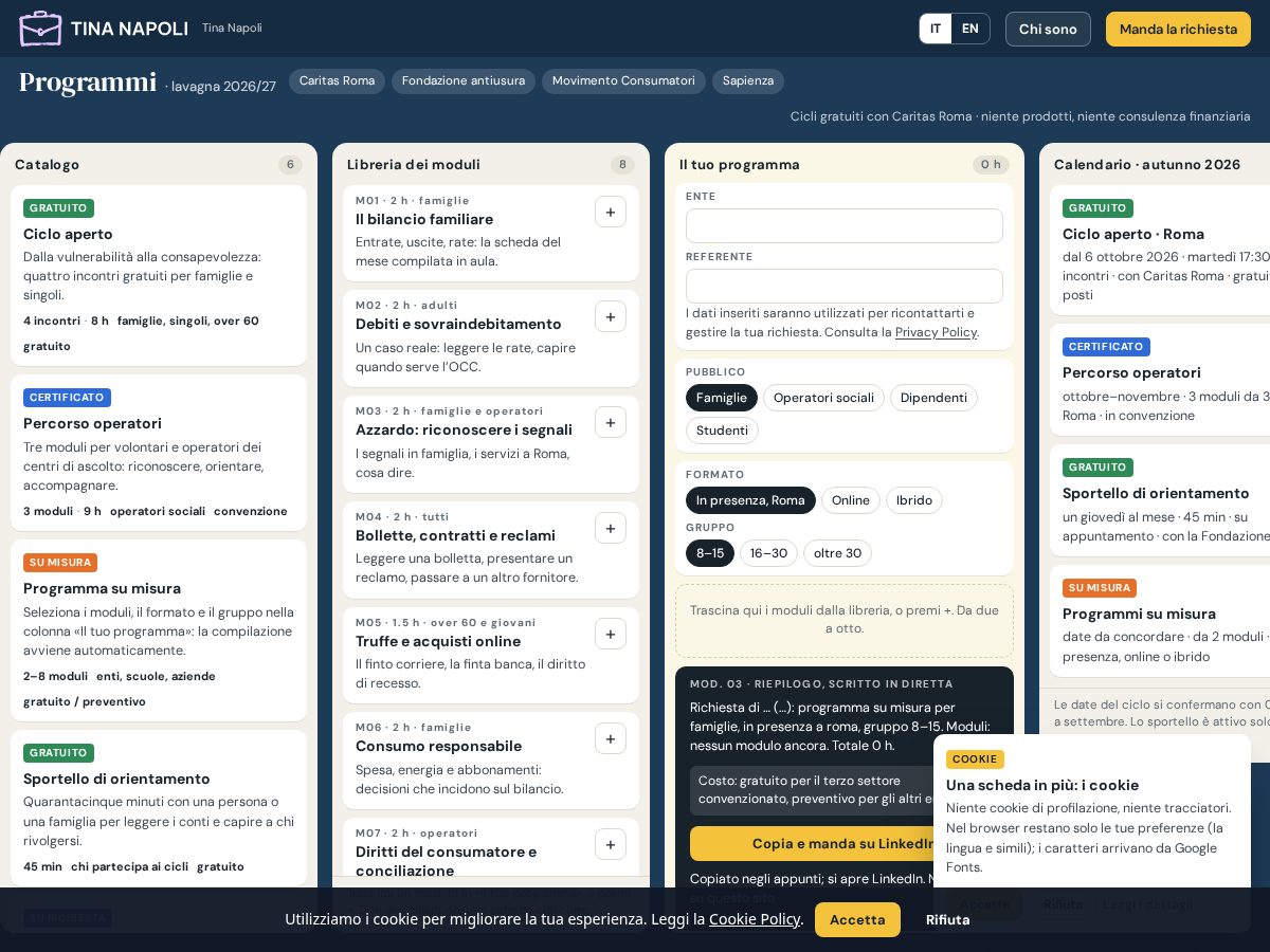 Landing-page snapshot of tinanapoli.info