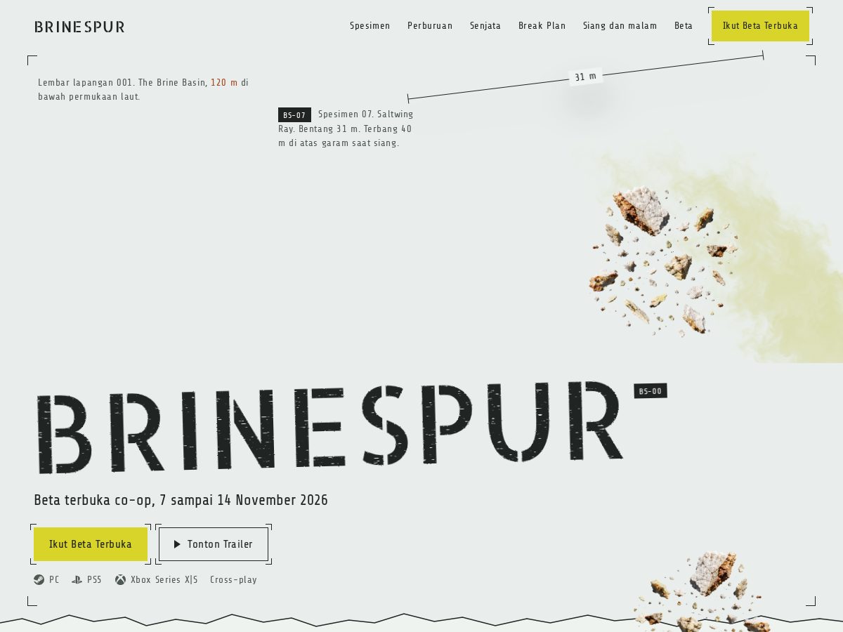 Landing-page snapshot of brinespur.com