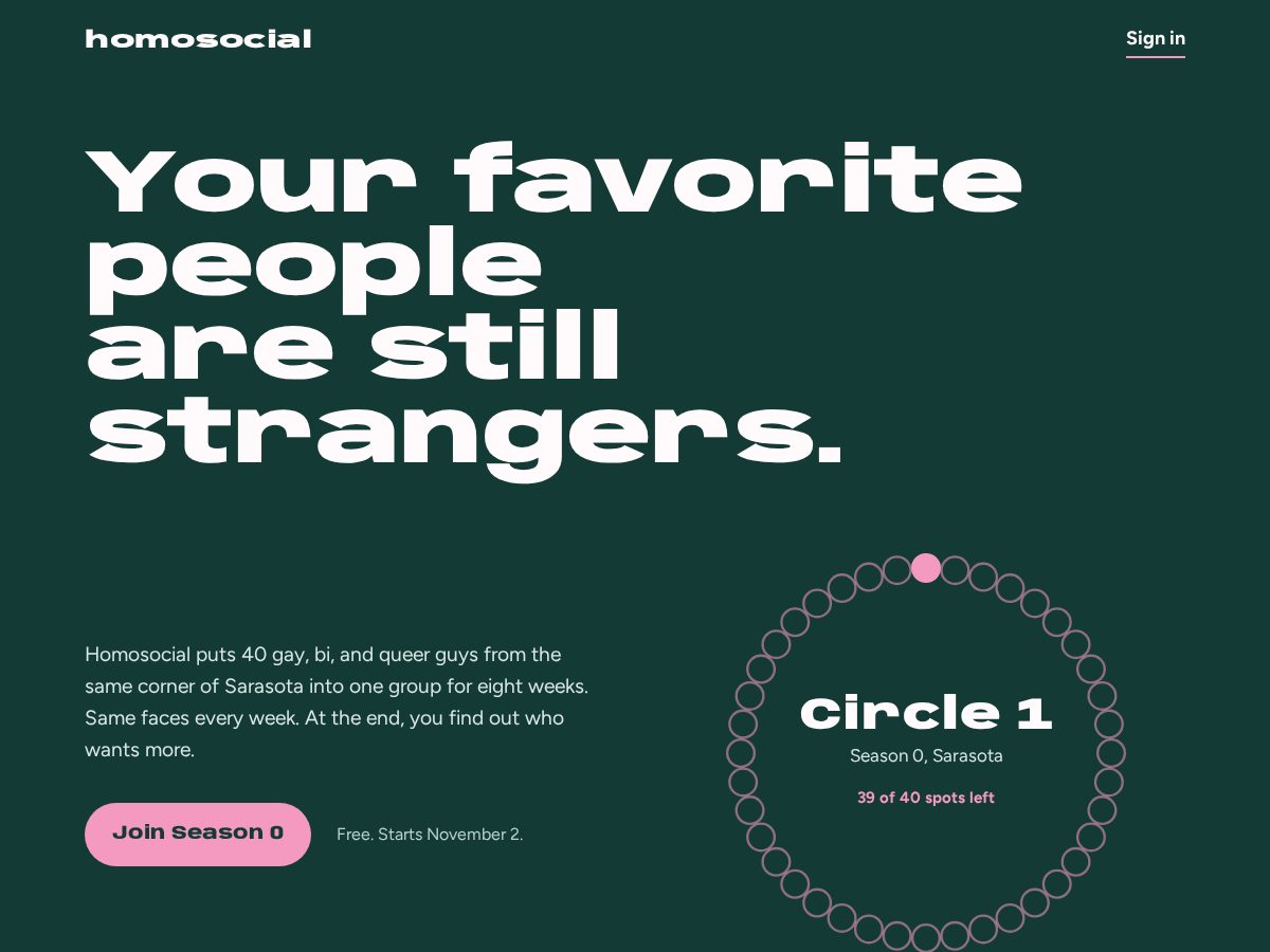 Landing-page snapshot of homosocial.net