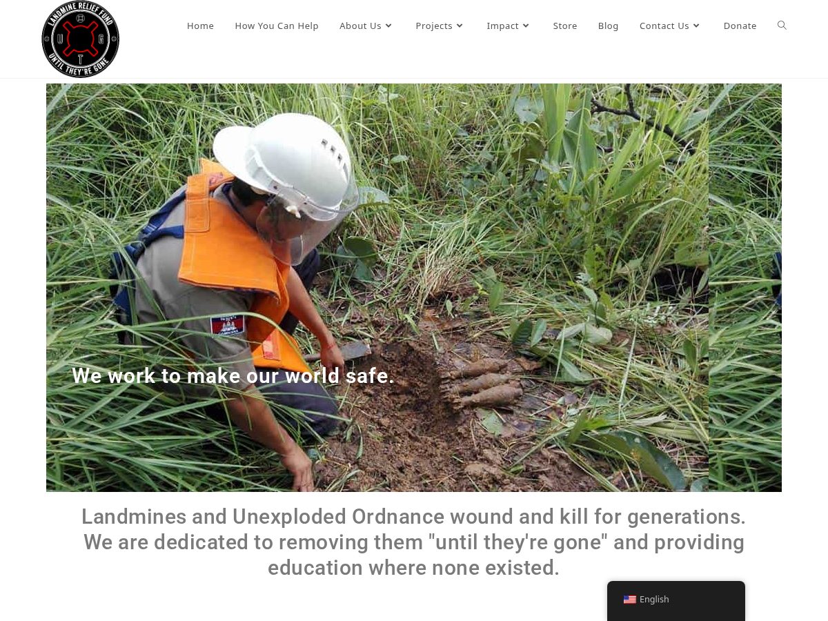 Landing-page snapshot of landminerelieffund.com