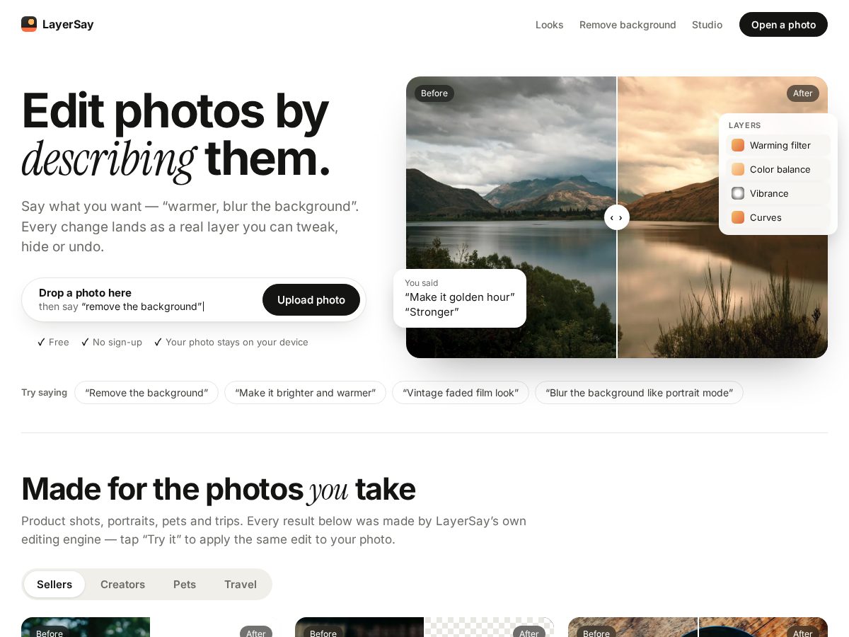 Landing-page snapshot of layersay.com
