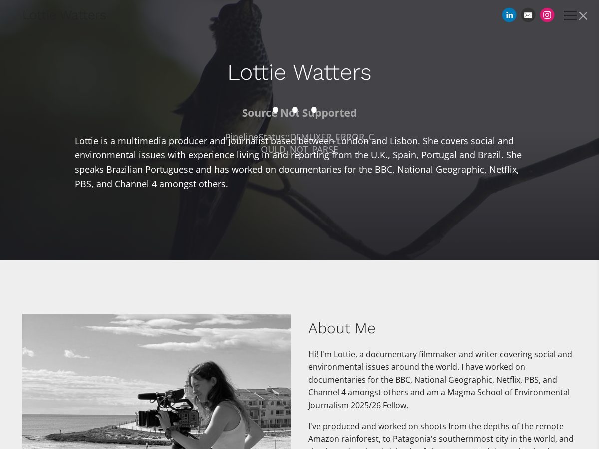 Landing-page snapshot of lottiewatters.com