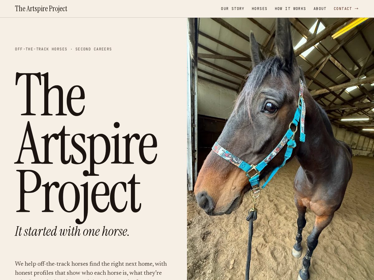 Landing-page snapshot of theartspireproject.org