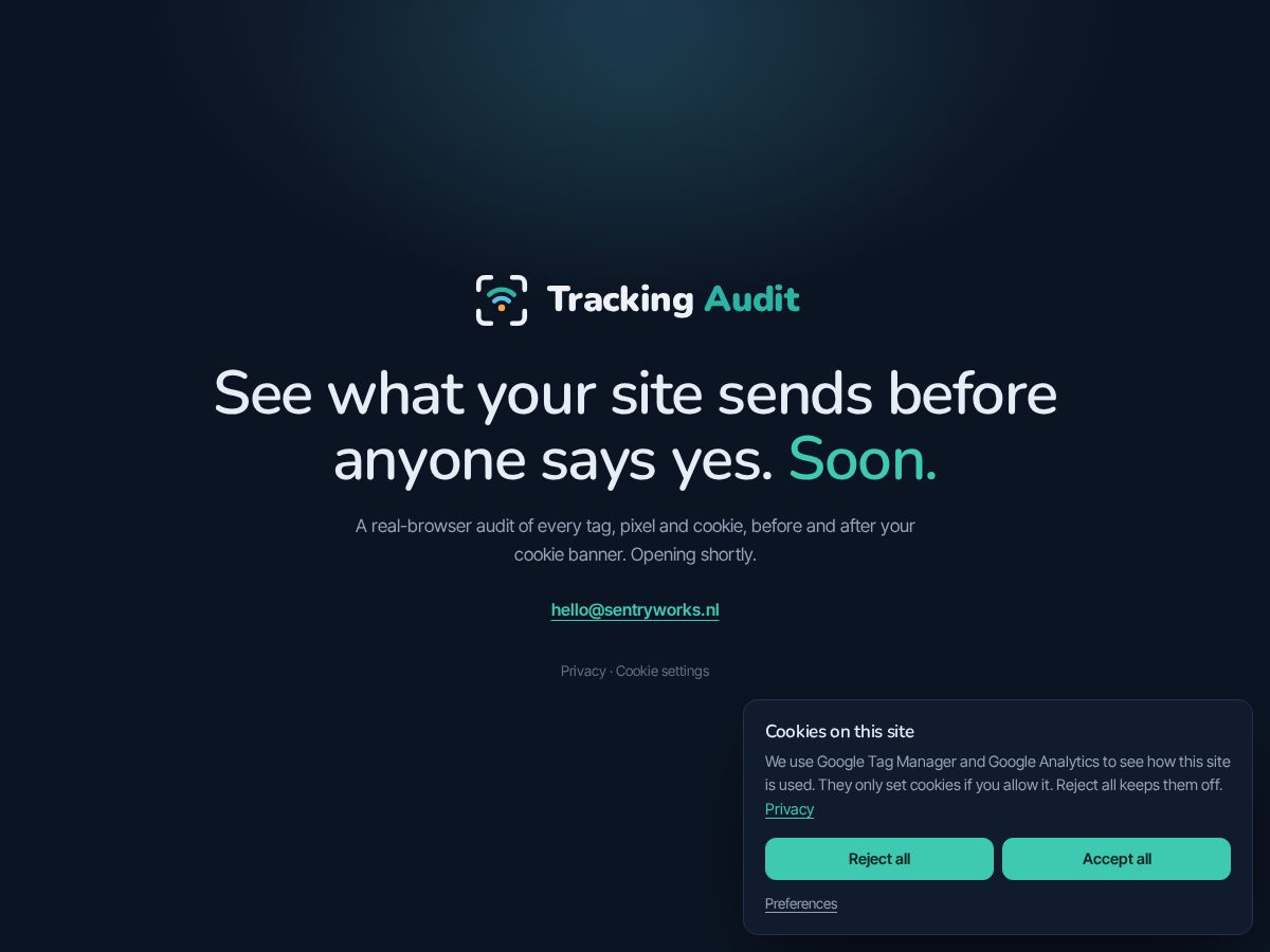 Landing-page snapshot of tracking-audit.com