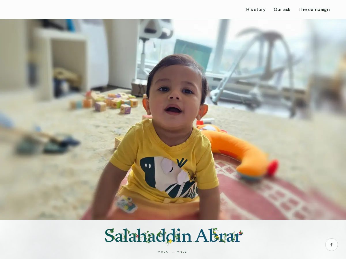 Landing-page snapshot of abirdinheaven.com