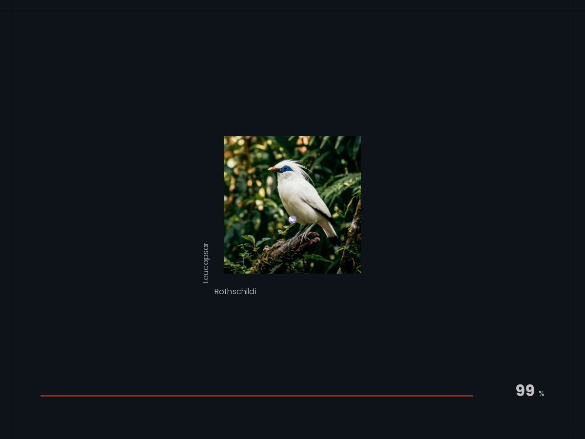 Landing-page snapshot of balistarling.org