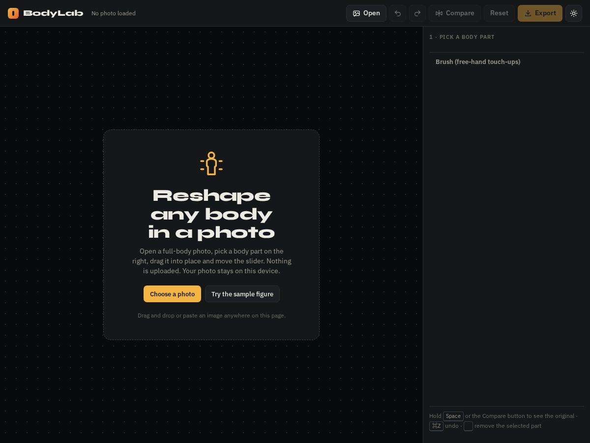 Landing-page snapshot of bodylabeditor.com