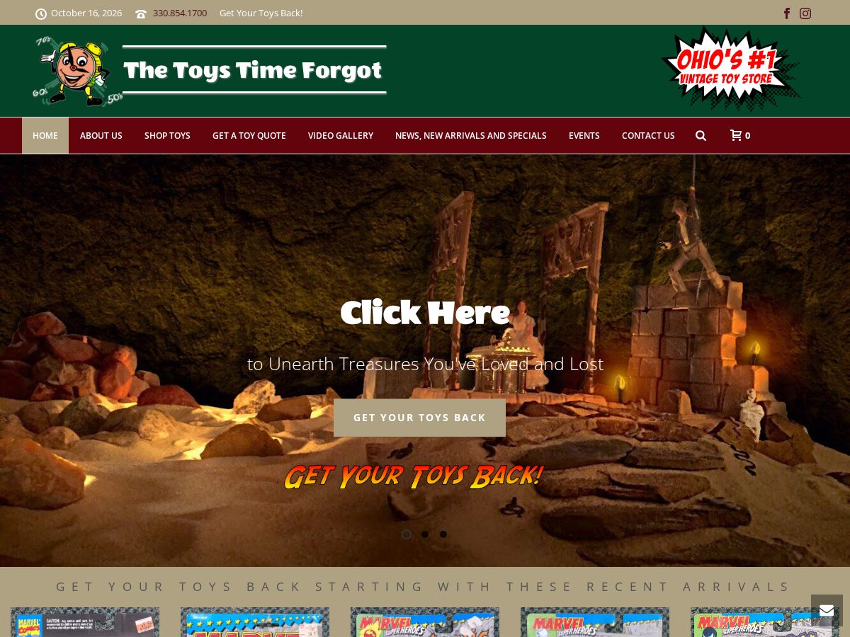 Landing-page snapshot of thetoystimeforgot.pro