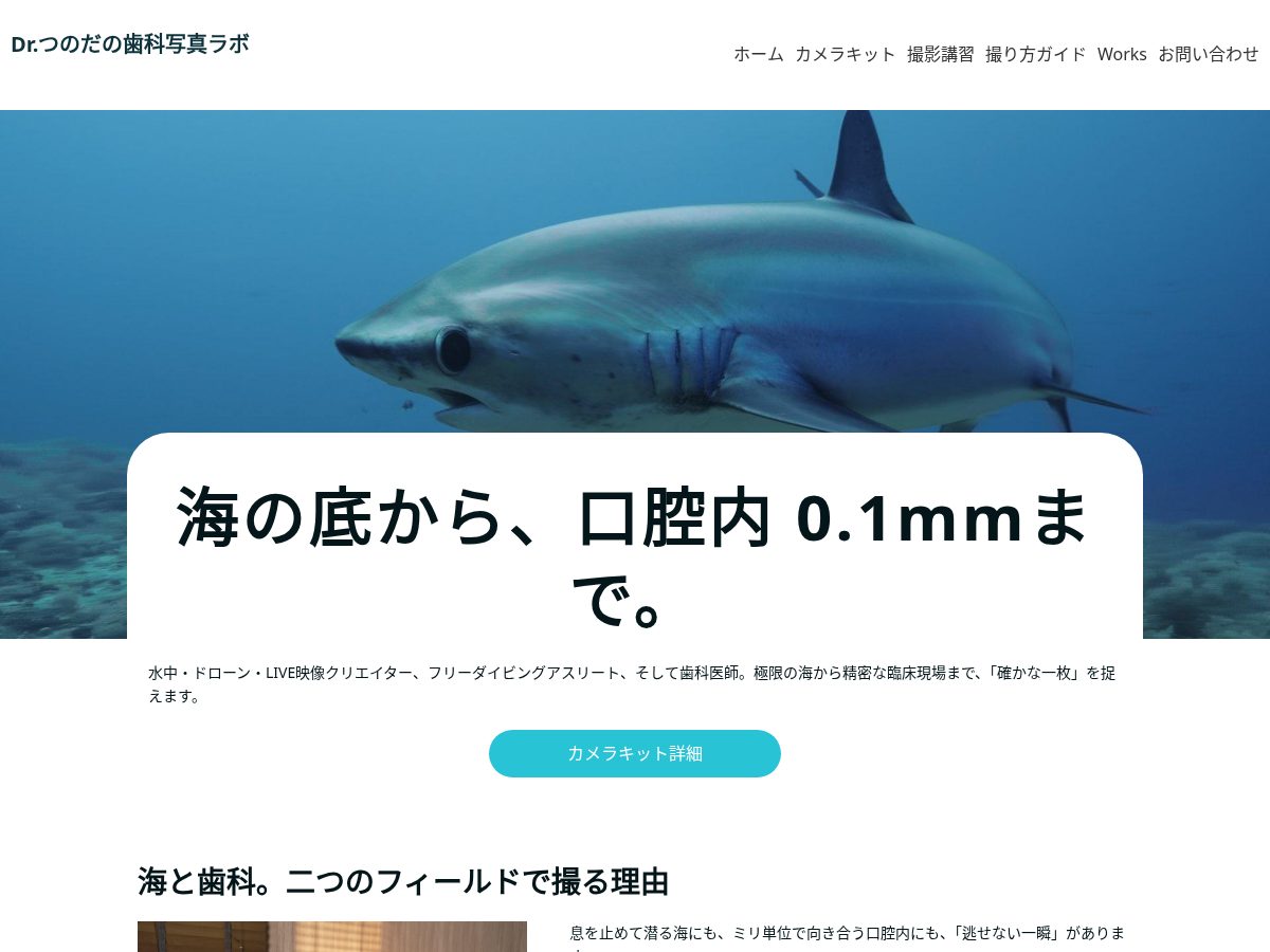 Landing-page snapshot of tsunorisa.com