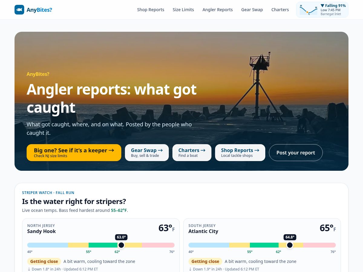 Landing-page snapshot of anybites.app