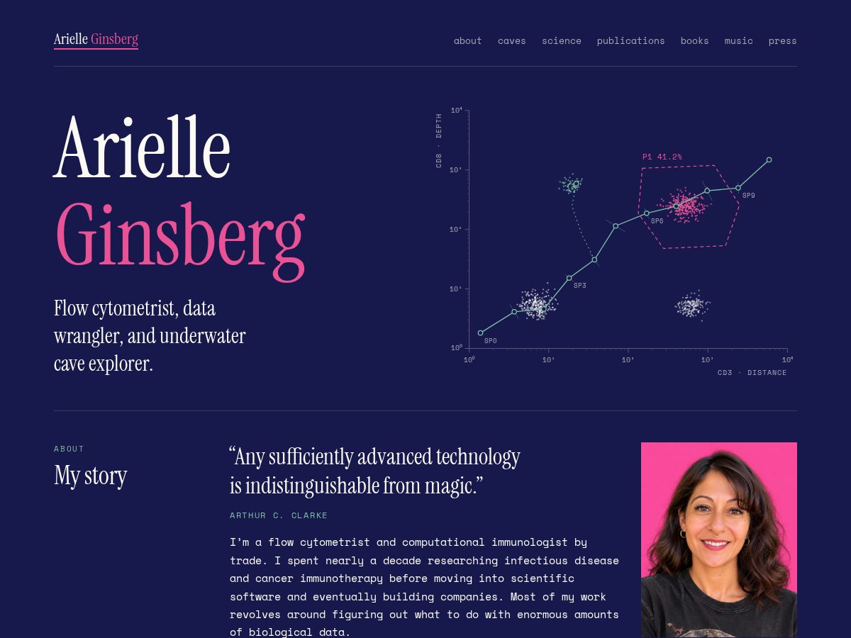 Landing-page snapshot of arielleginsberg.com
