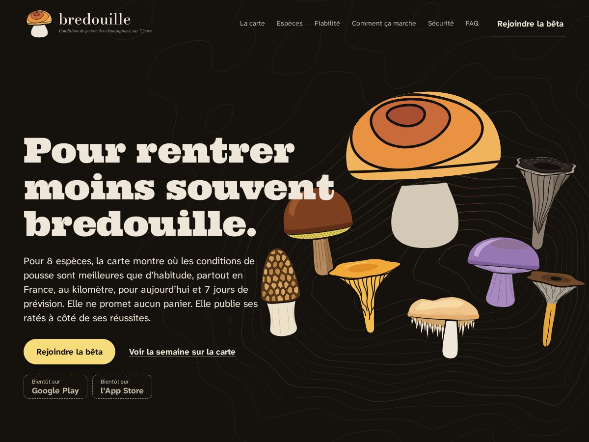 Landing-page snapshot of bredouille.app