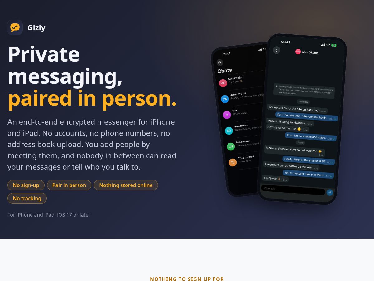 Landing-page snapshot of gizly.info