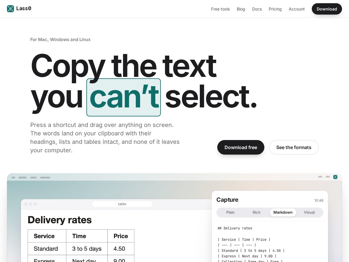 Landing-page snapshot of lass0.com
