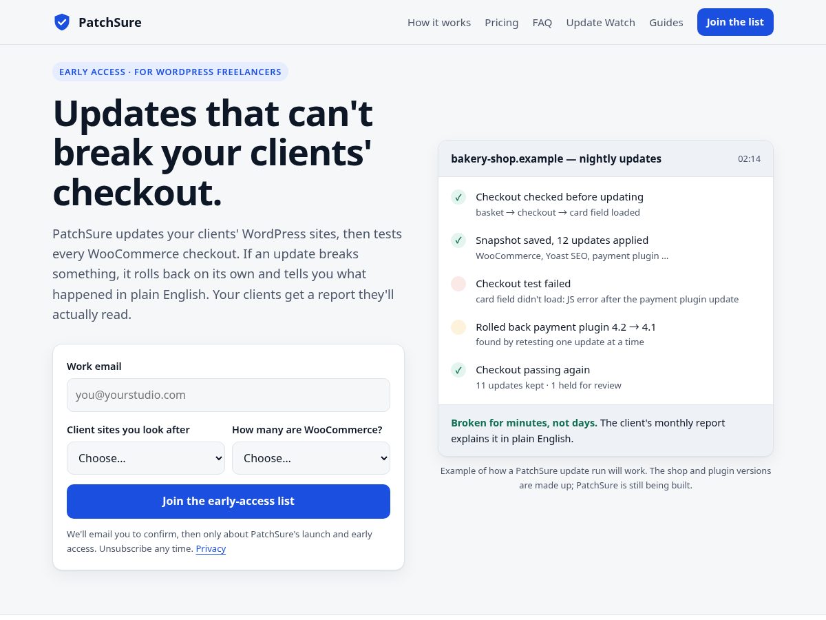 Landing-page snapshot of patchsure.com