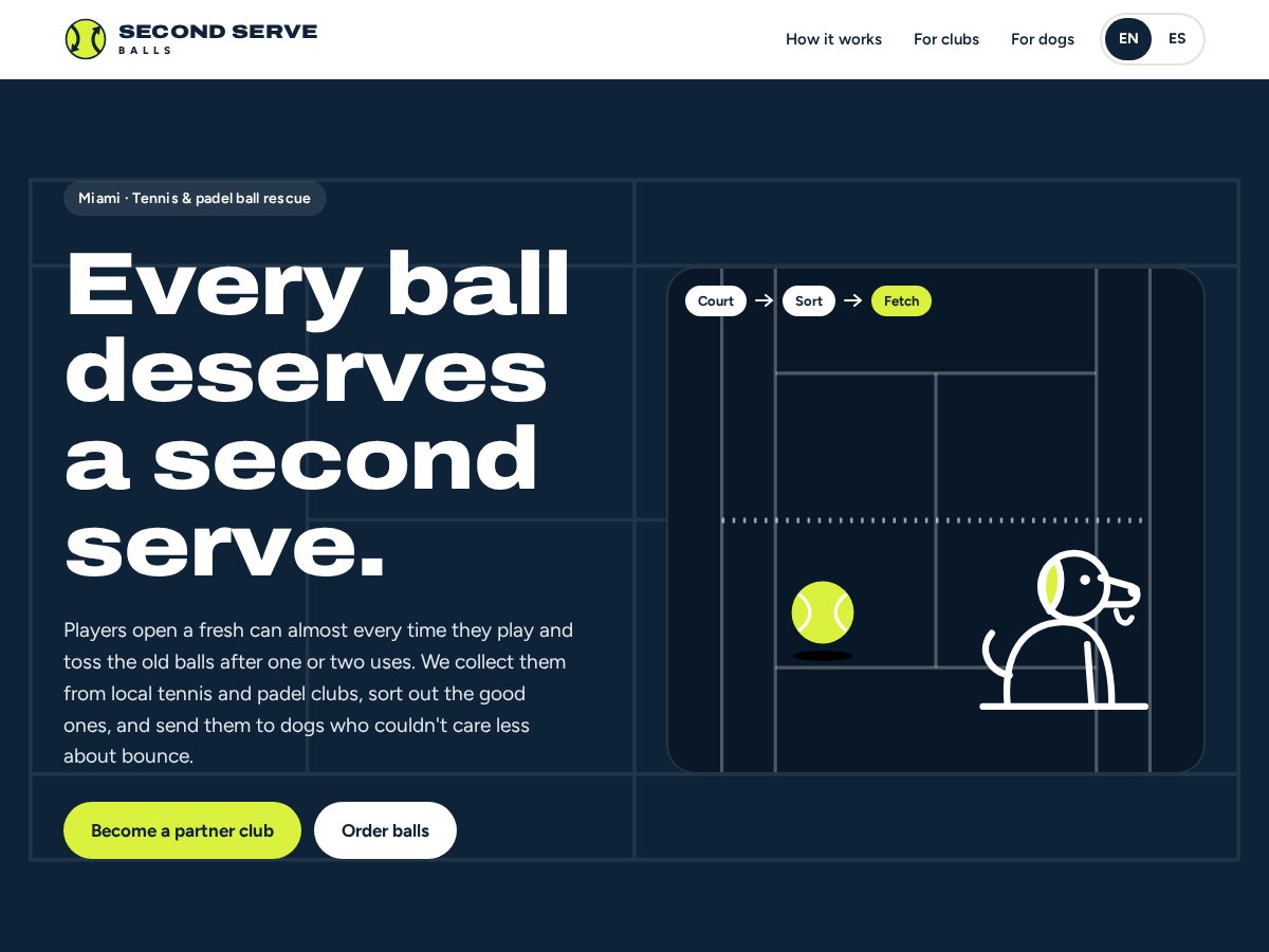 Landing-page snapshot of secondserveballs.com