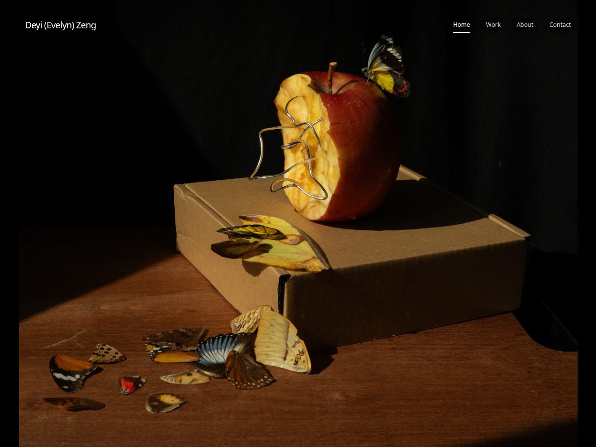 Landing-page snapshot of deyizeng.com