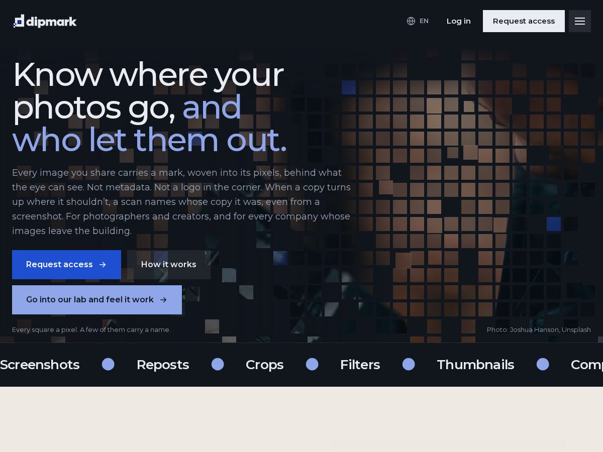 Landing-page snapshot of dipmark.com
