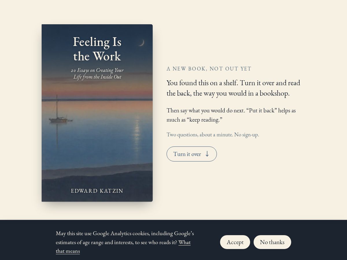 Landing-page snapshot of feelingisthework.com