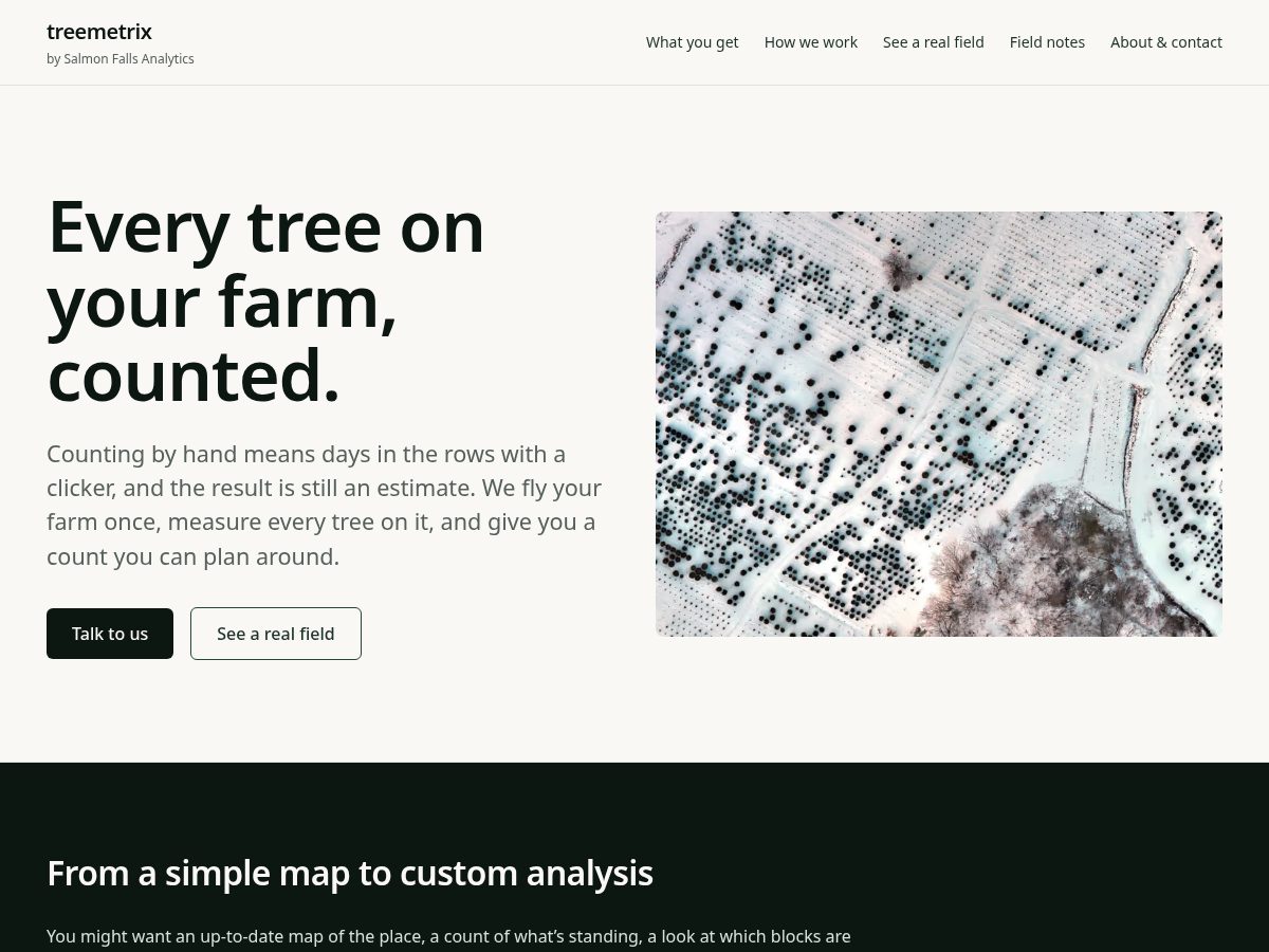 Landing-page snapshot of salmonfallsanalytics.com