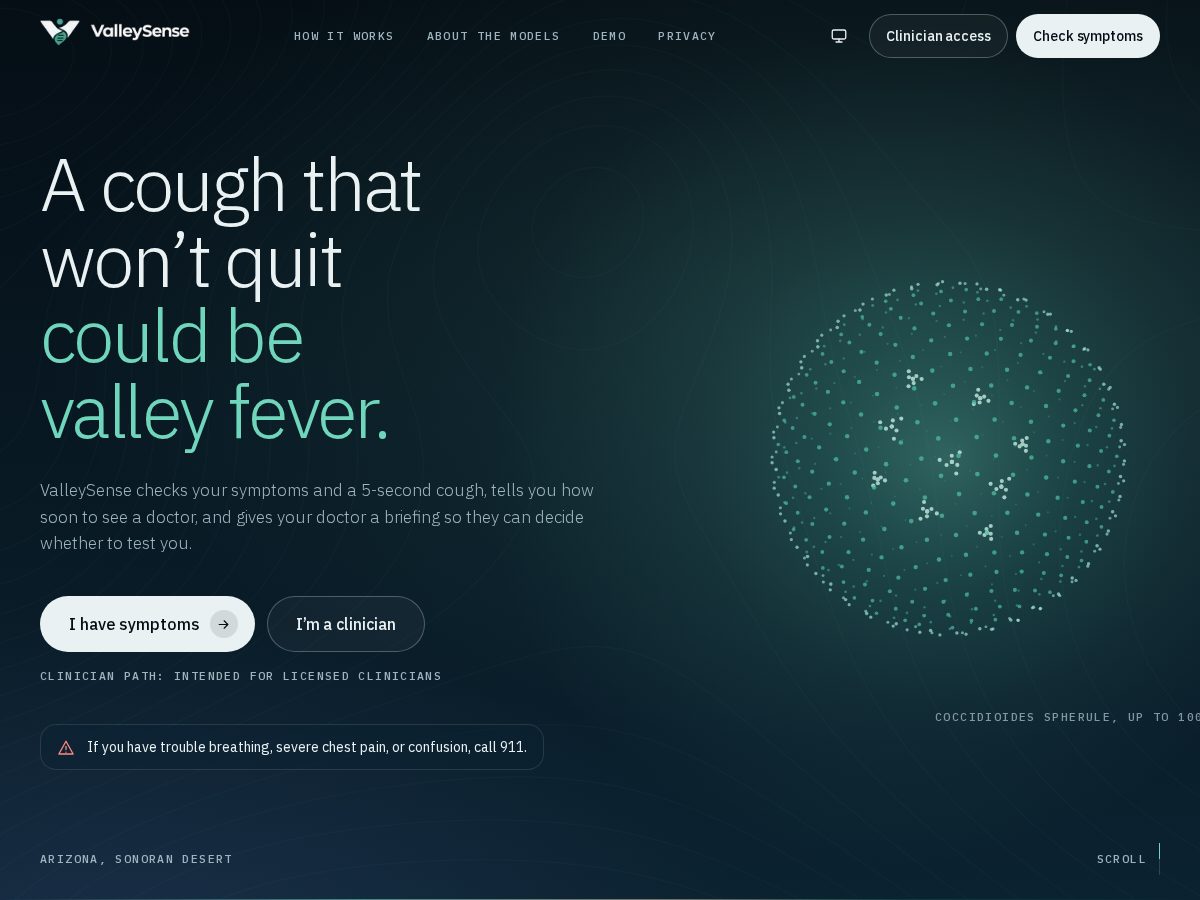 Landing-page snapshot of valleysense.com