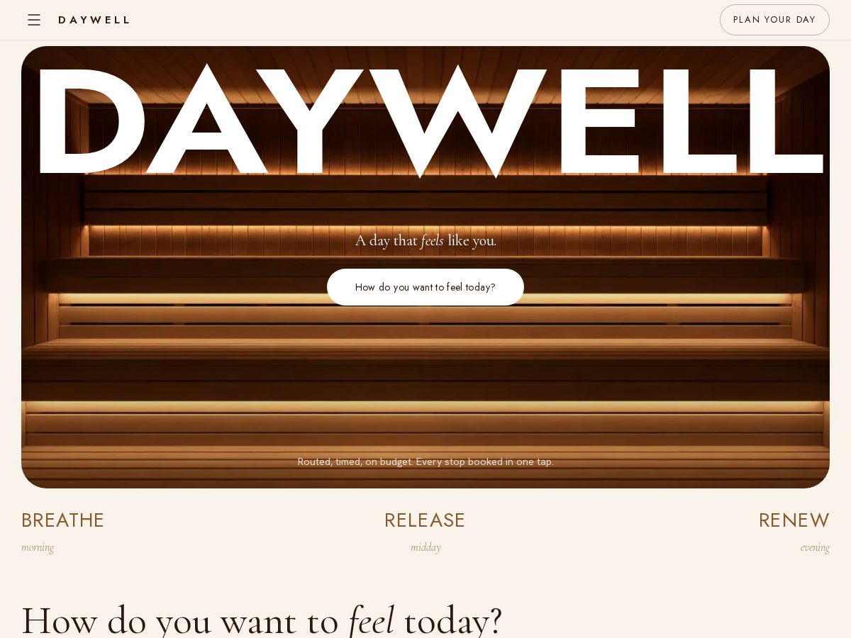 Landing-page snapshot of bookdaywell.com