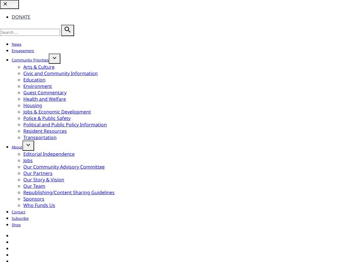 Landing-page snapshot of bridgedetroits.org