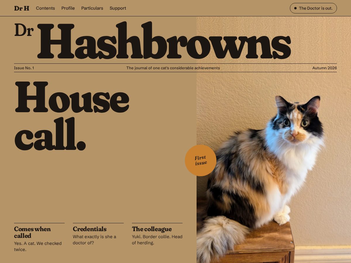Landing-page snapshot of drhashbrowns.com